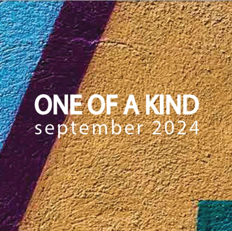 צילום מסך 2024-10-09 132231