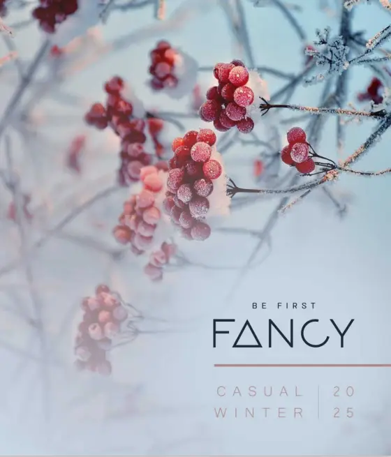 צילום מסך 2024-10-13 113706