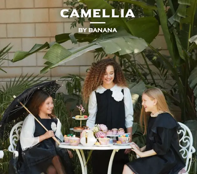 צילום מסך 2024-12-11 143552