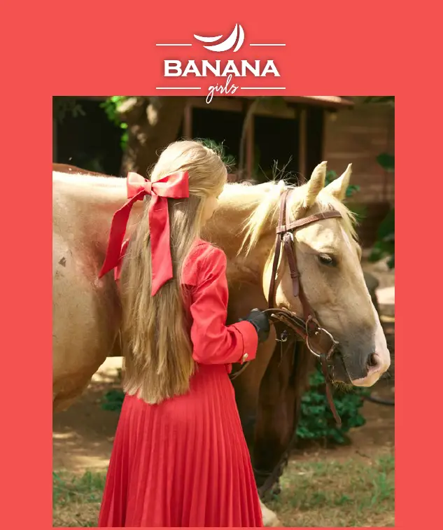 צילום מסך 2024-12-11 143934