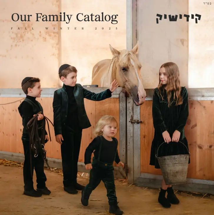 צילום מסך 2025-01-26 131633