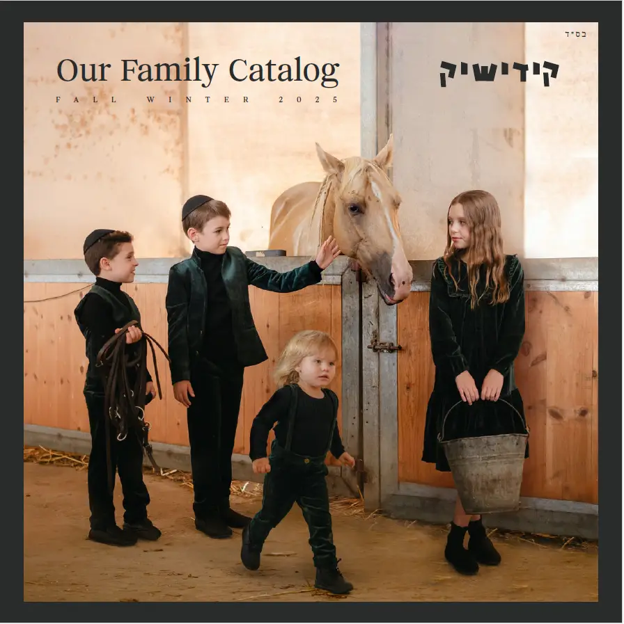 צילום מסך 2025-01-27 095201