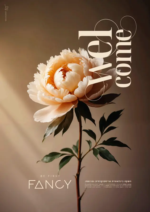 צילום-מסך-2024-10-08-132540